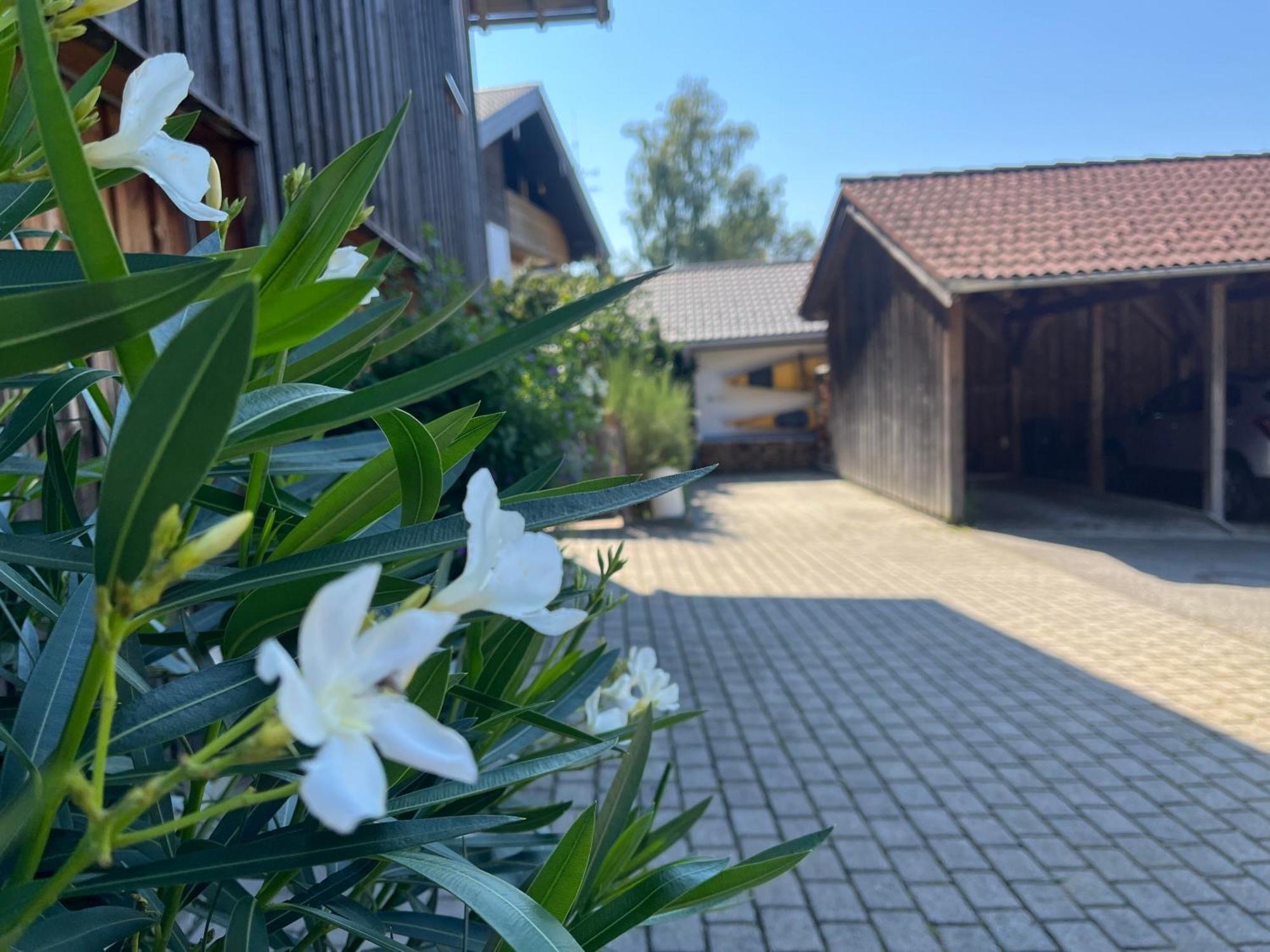 Apartment Wohlfuehlplatzl - Urgemuetlich & Ruhig Vogtareuth Екстериор снимка